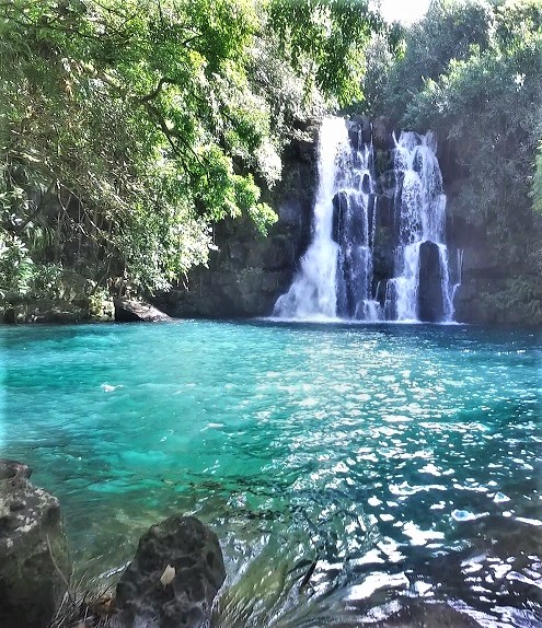 100+ Free Photos - Eau Bleue secret waterfall in Mauritius